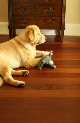 Durable Hard Wood Flooring